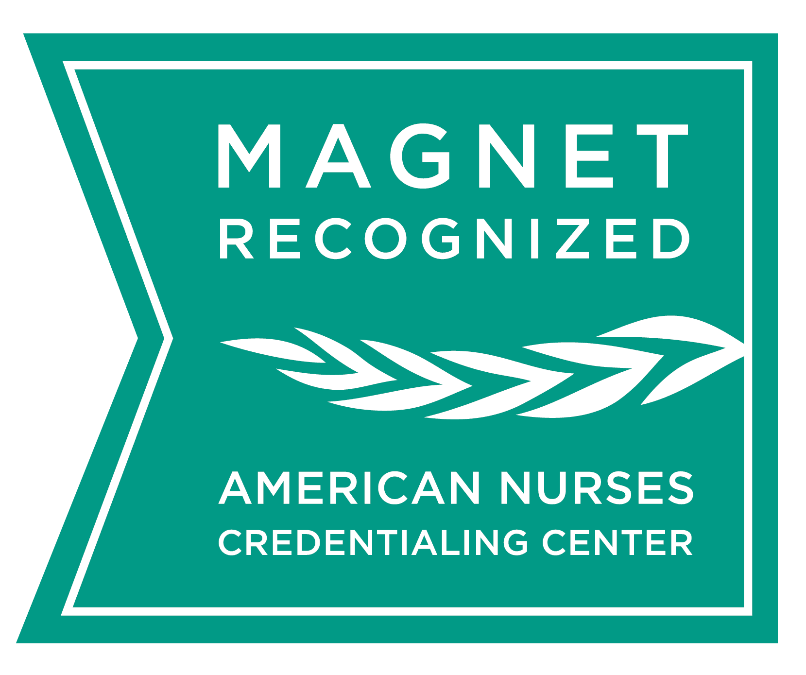 Magnet-Award